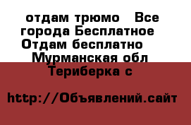 отдам трюмо - Все города Бесплатное » Отдам бесплатно   . Мурманская обл.,Териберка с.